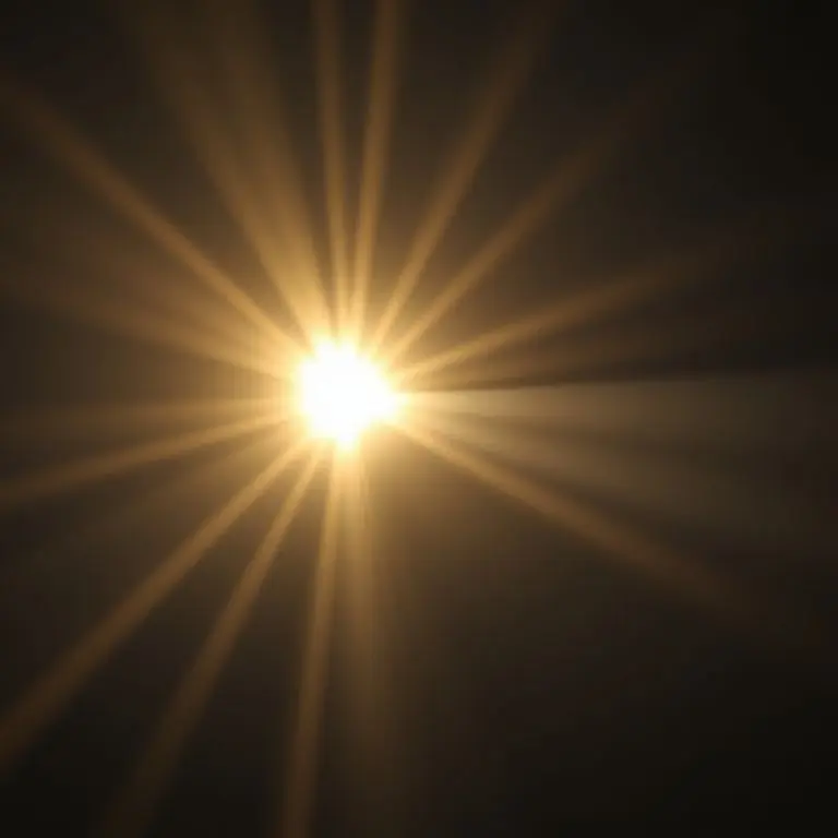 실제 입시 현장에서 비율이 만들어내는 명과 암